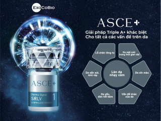 Chi Bò Home Spa ký kết với ExoCobio trở thành nhà phân phối chính thức ASCE+ Exosome